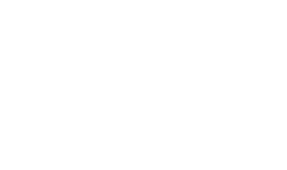 Birth of HundredX